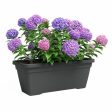 Plant pot Artevasi 77,9 x 24 x 22 cm Anthracite Online