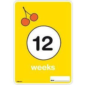 Milestone Pregnancy Cards - Miffy Discount